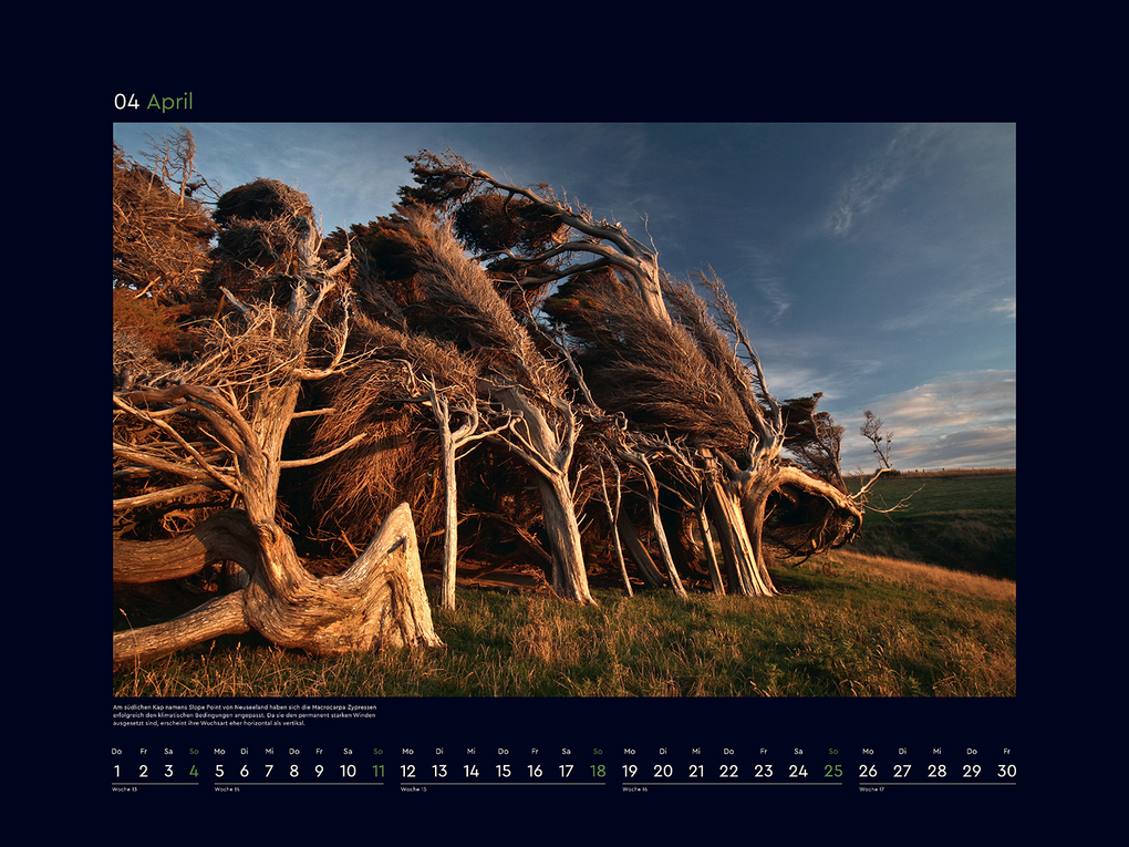 Weitere Ansicht: Magische Wälder der Erde - KUNTH Wandkalender 2027