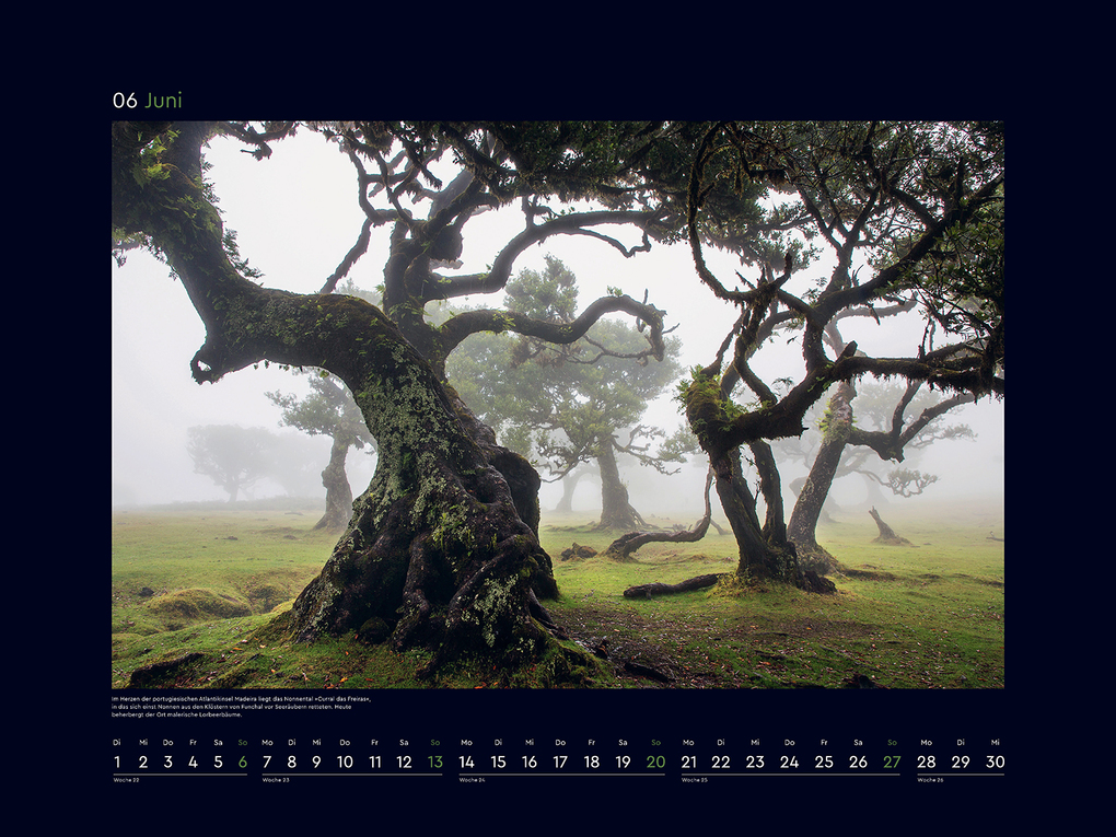 Weitere Ansicht: Magische Wälder der Erde - KUNTH Wandkalender 2027