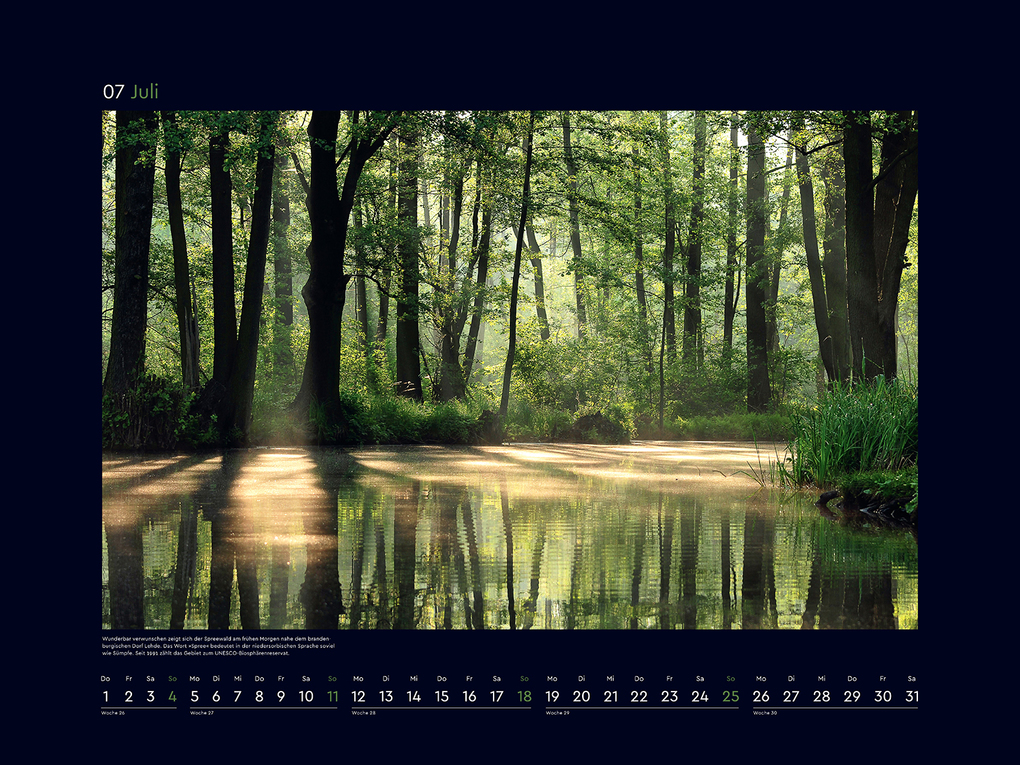 Weitere Ansicht: Magische Wälder der Erde - KUNTH Wandkalender 2027