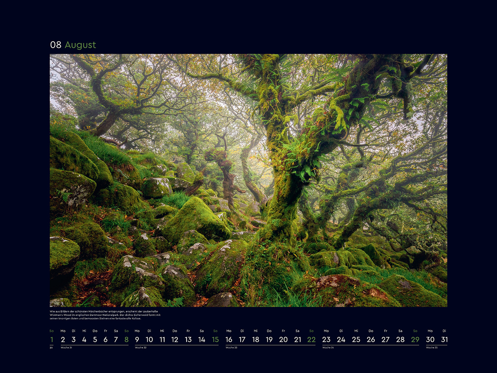 Weitere Ansicht: Magische Wälder der Erde - KUNTH Wandkalender 2027