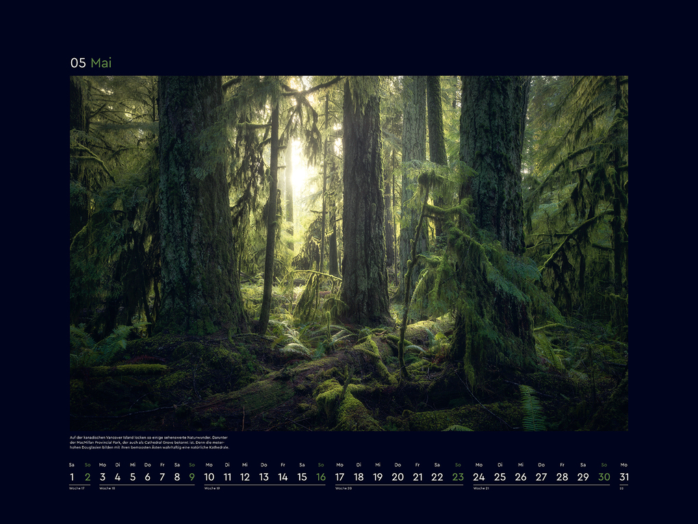 Weitere Ansicht: Magische Wälder der Erde - KUNTH Wandkalender 2027