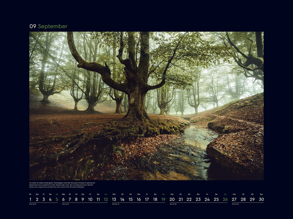 Weitere Ansicht: Magische Wälder der Erde - KUNTH Wandkalender 2027
