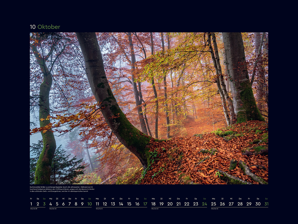 Weitere Ansicht: Magische Wälder der Erde - KUNTH Wandkalender 2027