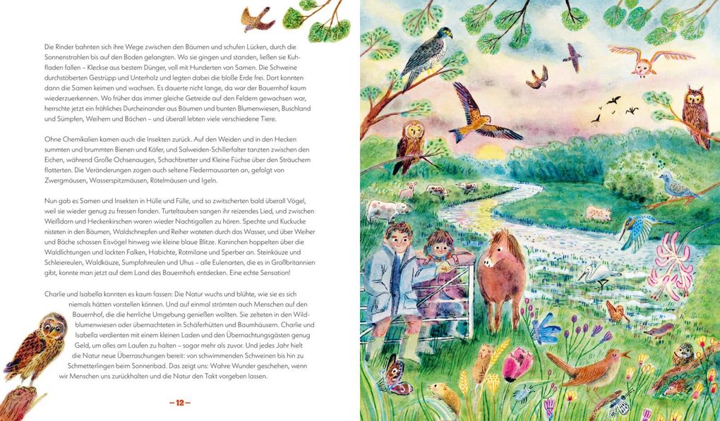 Weitere Ansicht: Die Natur kehrt zurück | Emily Hawkins