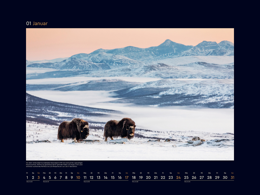 Weitere Ansicht: Schönheit des Nordens - KUNTH Wandkalender 2027