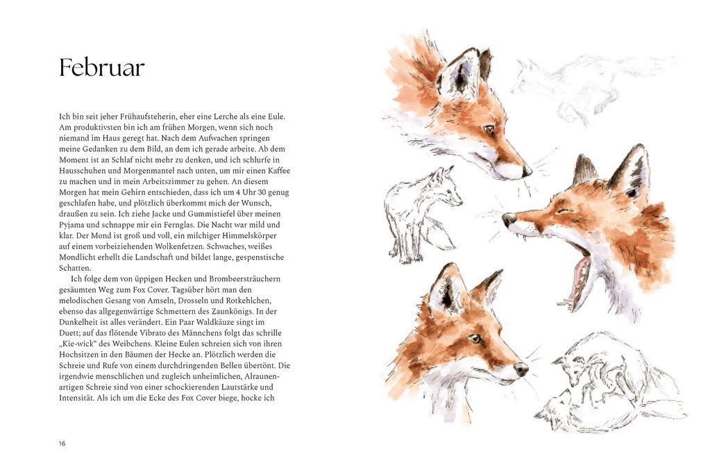 Weitere Ansicht: Ein Jahr mit der Wildnis | Hannah Dale
