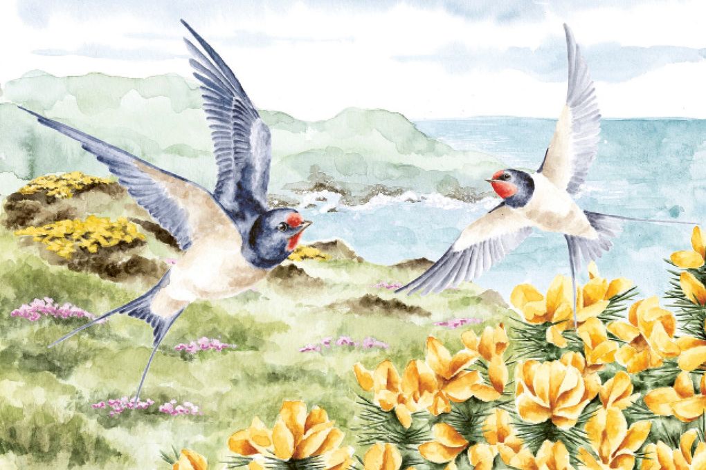 Weitere Ansicht: Ein Jahr mit der Wildnis | Hannah Dale
