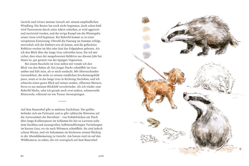 Weitere Ansicht: Ein Jahr mit der Wildnis | Hannah Dale