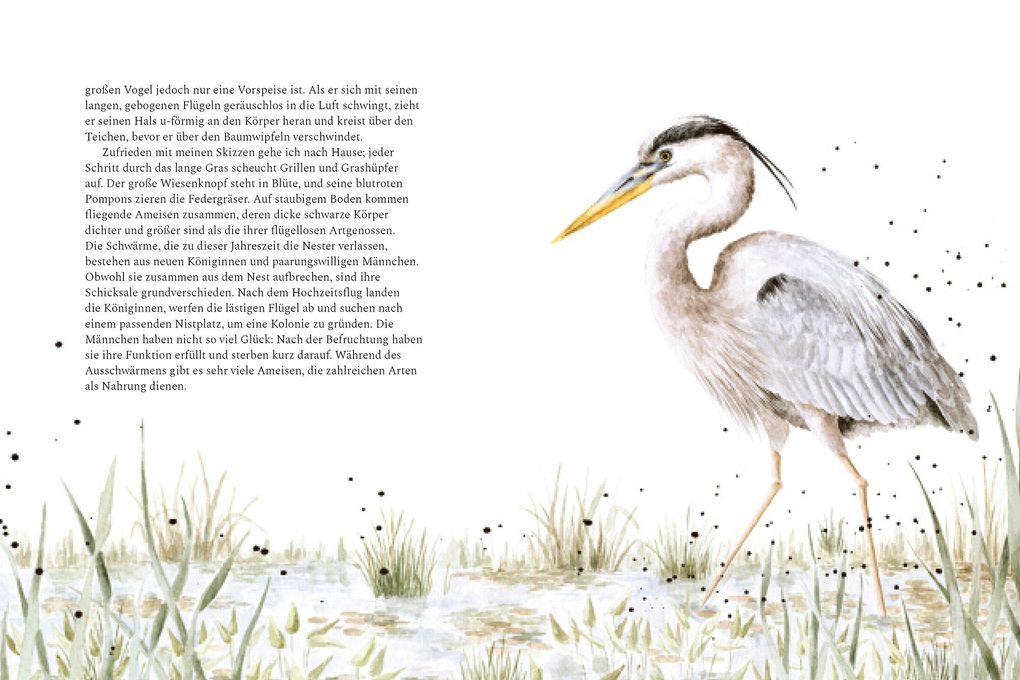 Weitere Ansicht: Ein Jahr mit der Wildnis | Hannah Dale