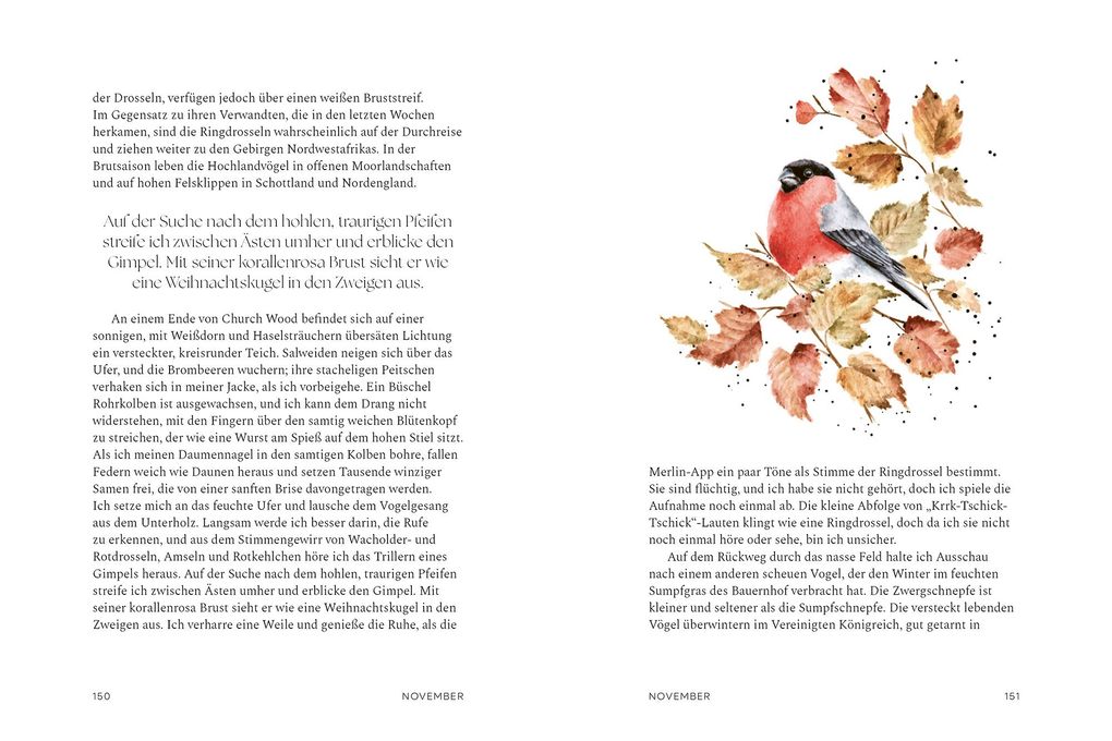 Weitere Ansicht: Ein Jahr mit der Wildnis | Hannah Dale