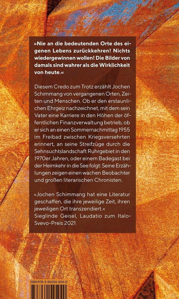 Weitere Ansicht: Die Versehrten springen nicht vom Zehner | Jochen Schimmang