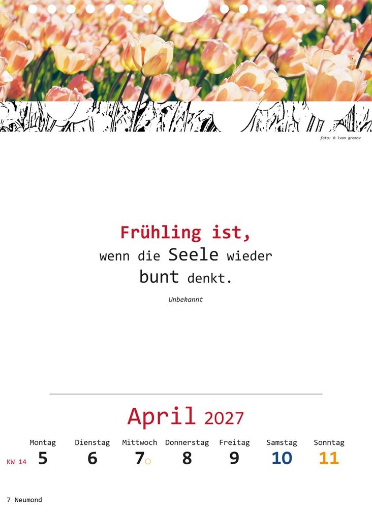 Weitere Ansicht: Ich-Kalender 2027
