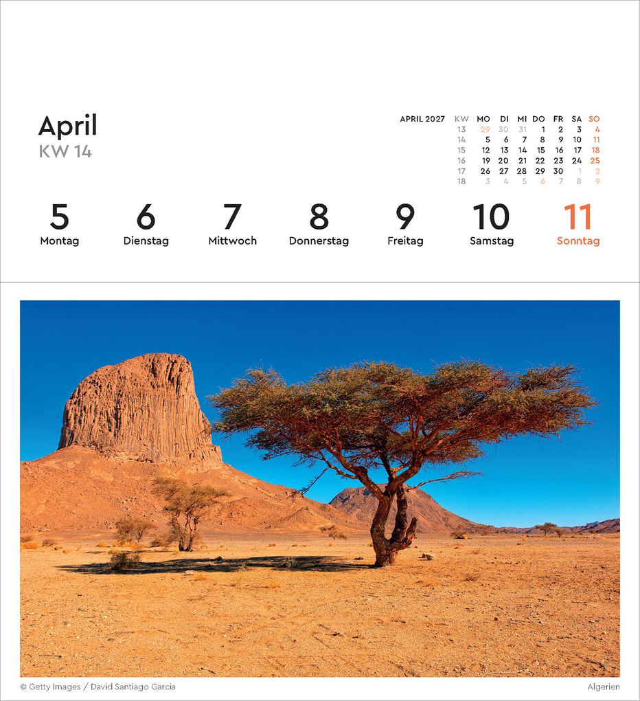 Weitere Ansicht: Alte Bäume - KUNTH Postkartenkalender 2027