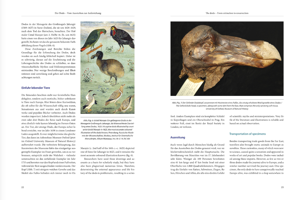 Weitere Ansicht: Dodo-Paradies