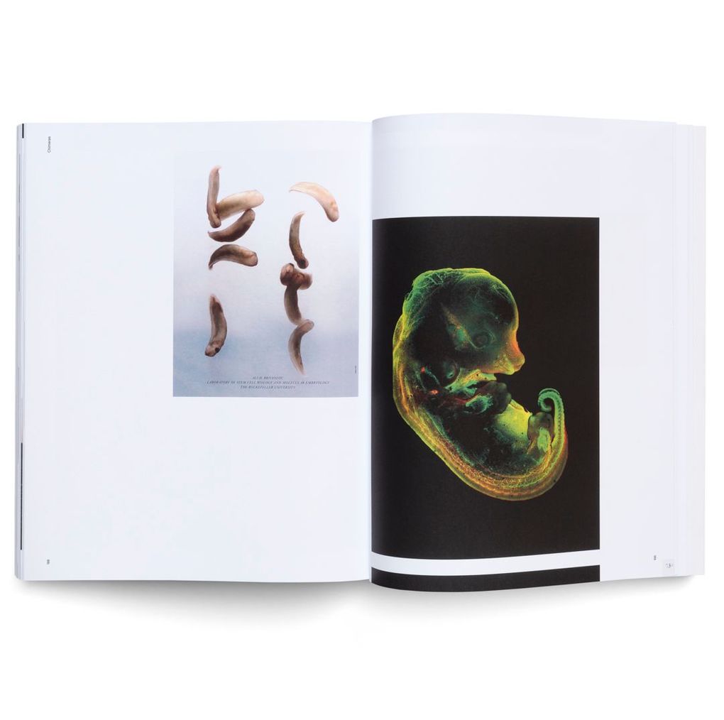 Weitere Ansicht: Pierre Huyghe