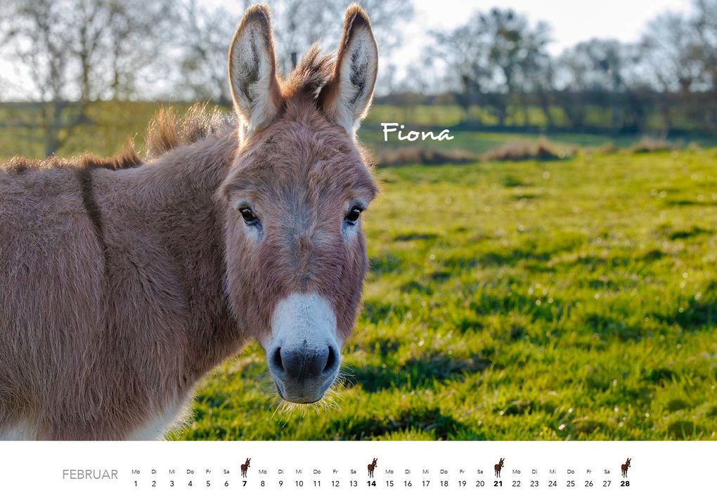 Weitere Ansicht: Esel Kalender 2027 | J.-L.;Hubert, M.-L. Klein