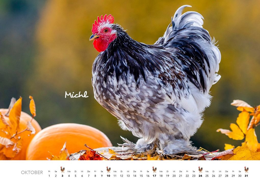 Weitere Ansicht: Hühner Kalender 2027 | J.-L.;Hubert, M.-L. Klein