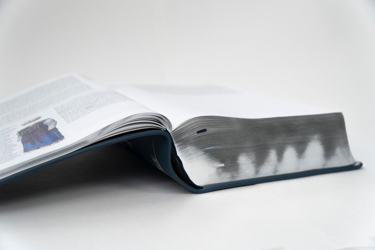 Weitere Ansicht: Elberfelder Bibel. Die große Studien- und Kommentarausgabe Leder, Platinschnitt