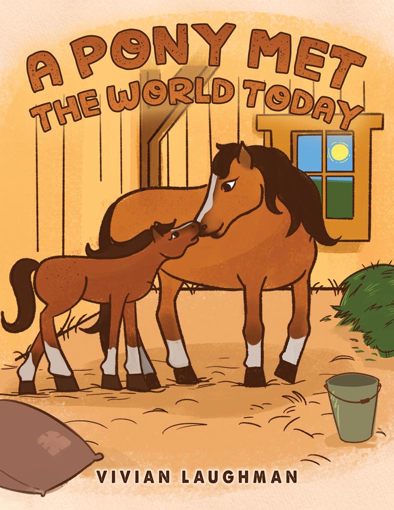 Produktbild: A Pony Met the World Today | Vivian Laughman