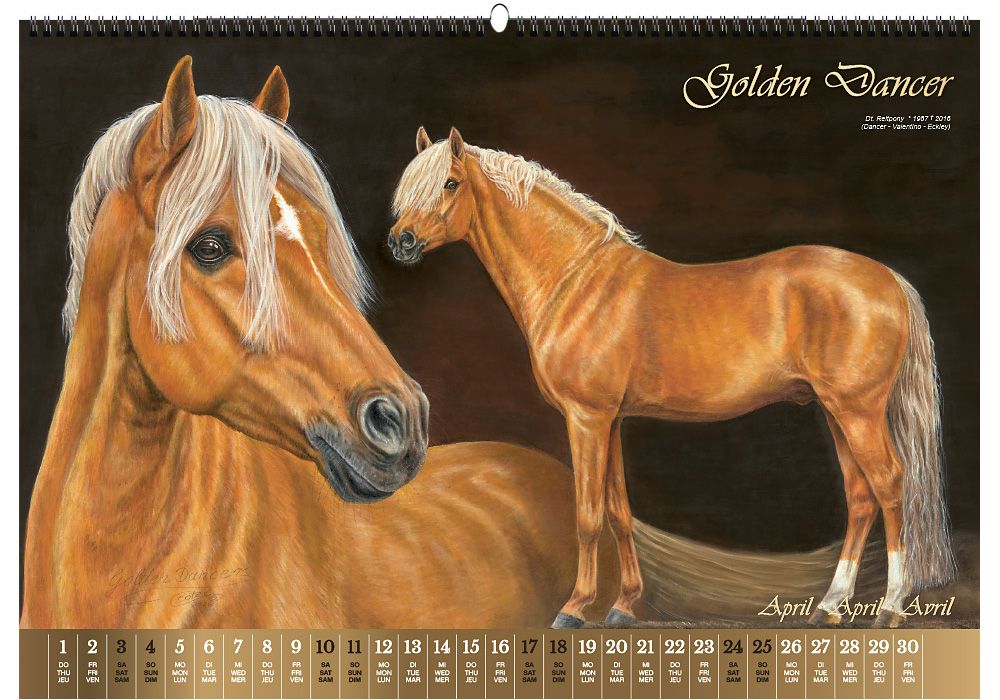 Weitere Ansicht: Vererberlegenden 2027