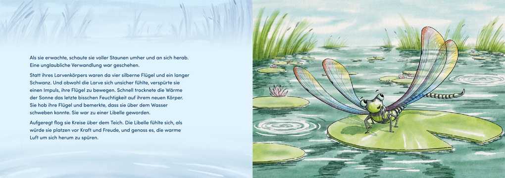 Weitere Ansicht: Von Larven und Libellen. Bilderbuch | Gesa Rensmann