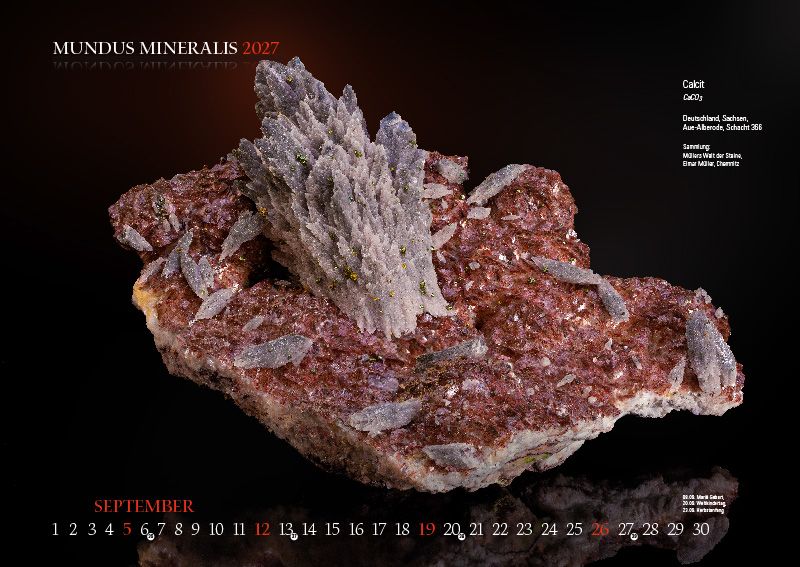 Weitere Ansicht: MUNDUS MINERALIS 2027 | Jörg Neubert
