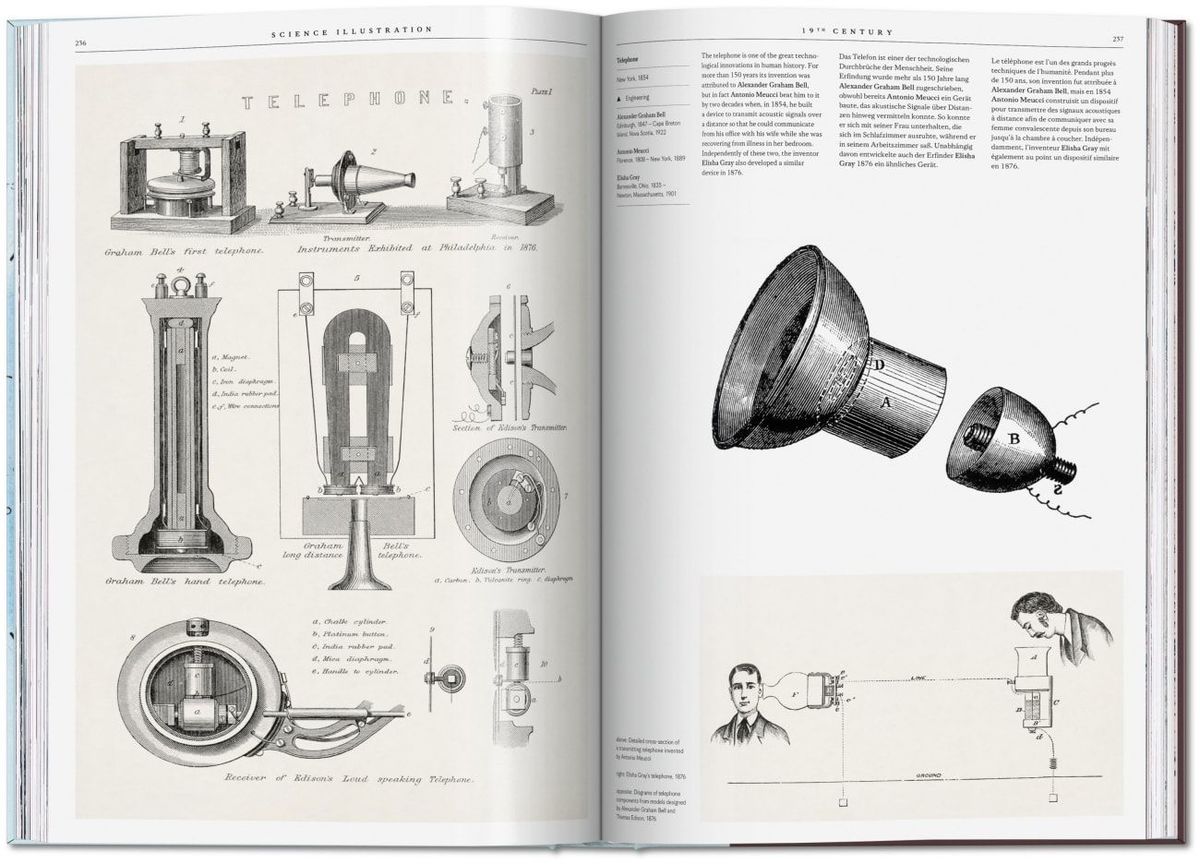 Weitere Ansicht: Science Illustration | Anna Escardó