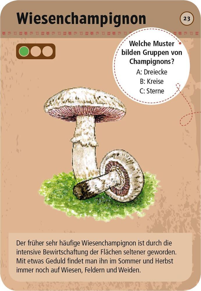 Weitere Ansicht: 50 heimische Pilze | Carola von Kessel