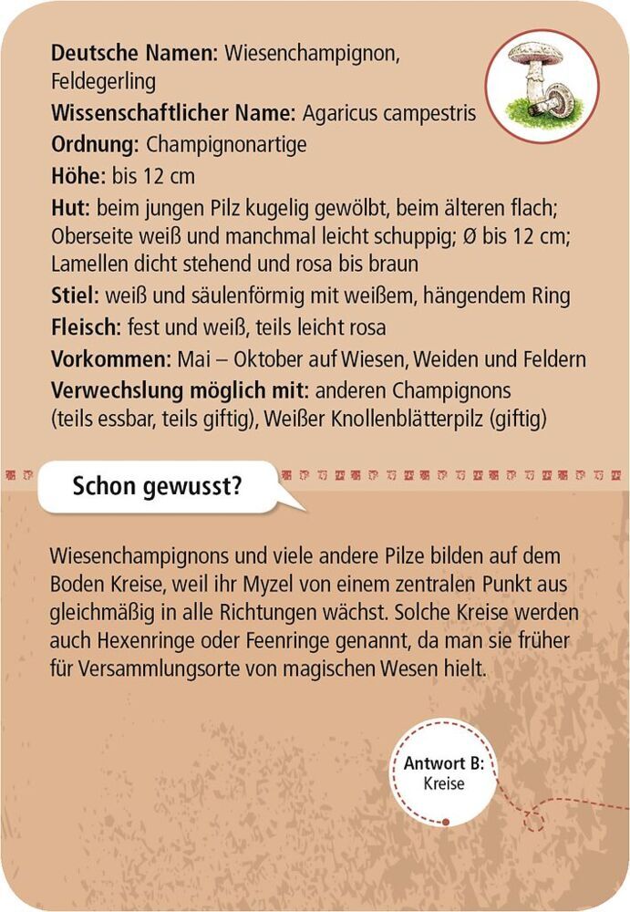 Weitere Ansicht: 50 heimische Pilze | Carola von Kessel