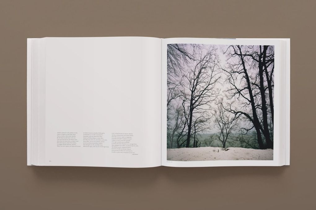 Weitere Ansicht: Darren Almond