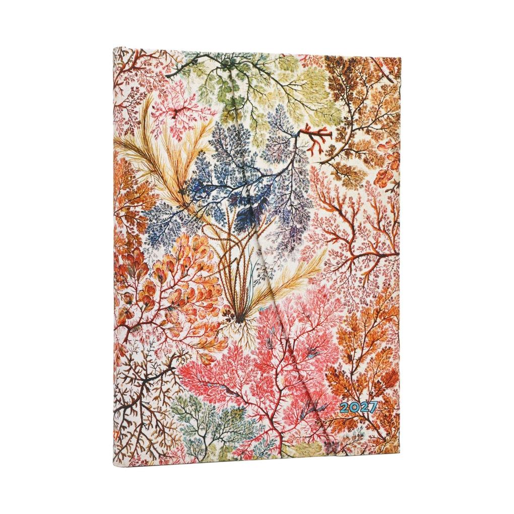 Produktbild: 12-Monatskalender 2027 Anemone Midi Verso