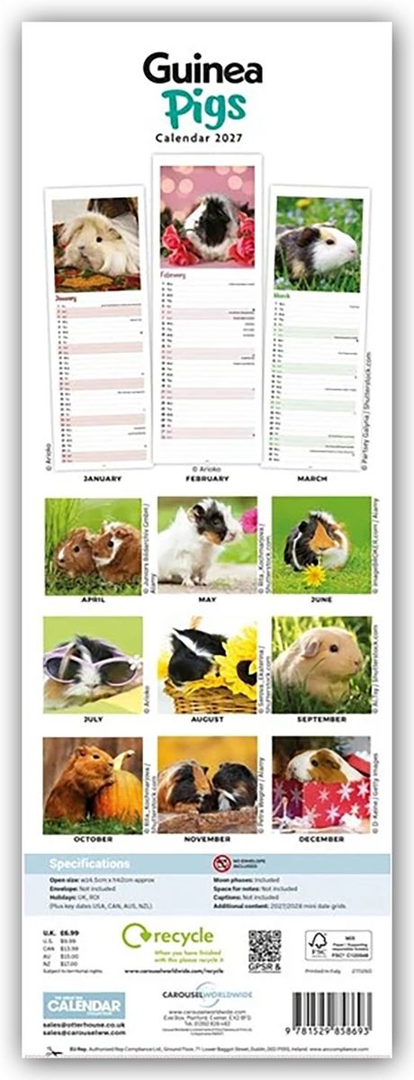 Weitere Ansicht: Guniea Pigs - Meerschweinchen 2027 - Slimline-Kalender | Carousel Calendar
