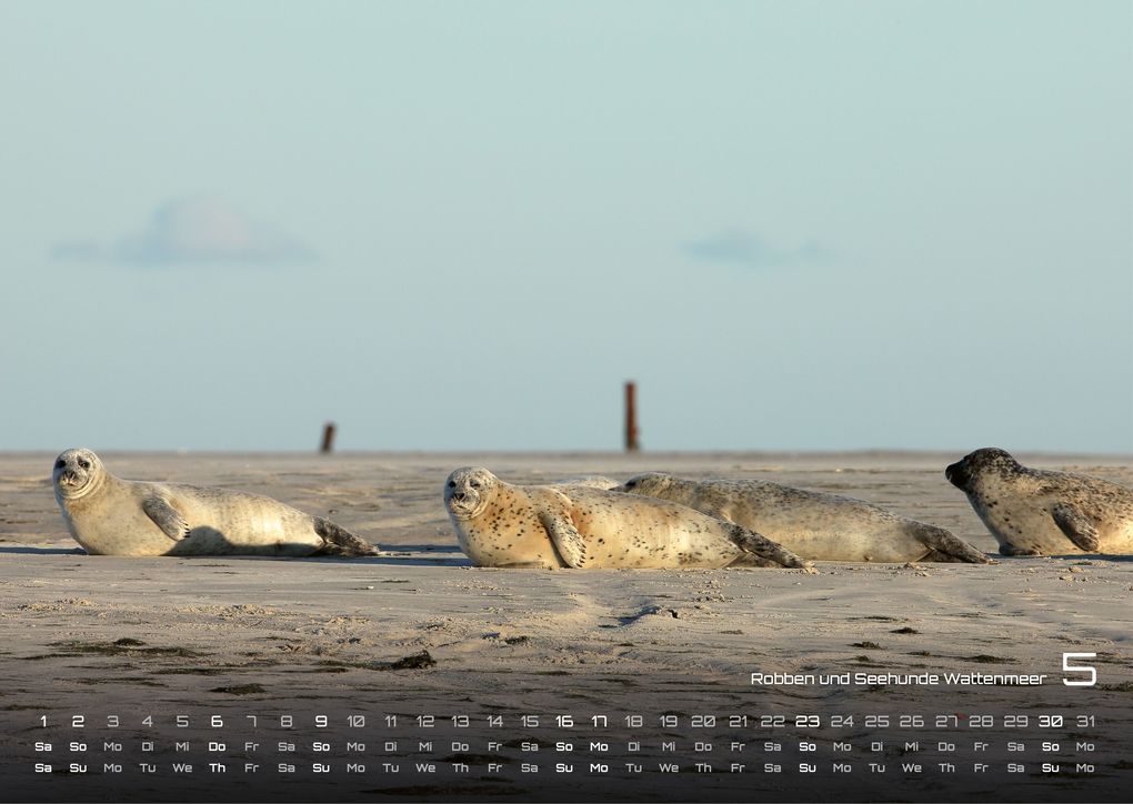Weitere Ansicht: Nordsee - Küstenzauber - 2027 - Kalender DIN A3