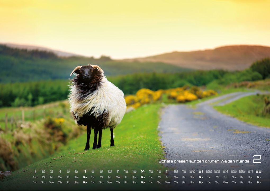 Weitere Ansicht: Irland - Die grüne Insel - 2027 - Kalender DIN A3