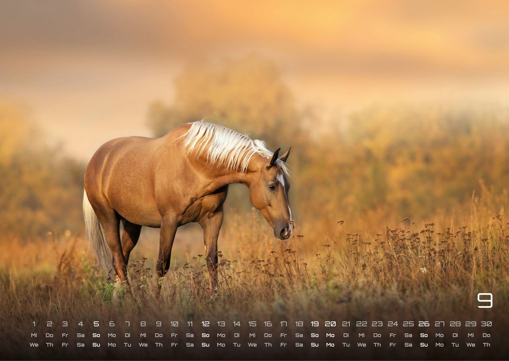 Weitere Ansicht: Pferdegeflüster - Der Pferdekalender - 2027 - Kalender DIN A3