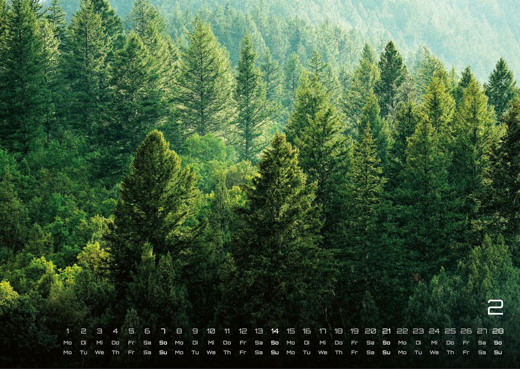 Weitere Ansicht: Wald - Erholung für Mensch und Tier - 2027 - Kalender DIN A3