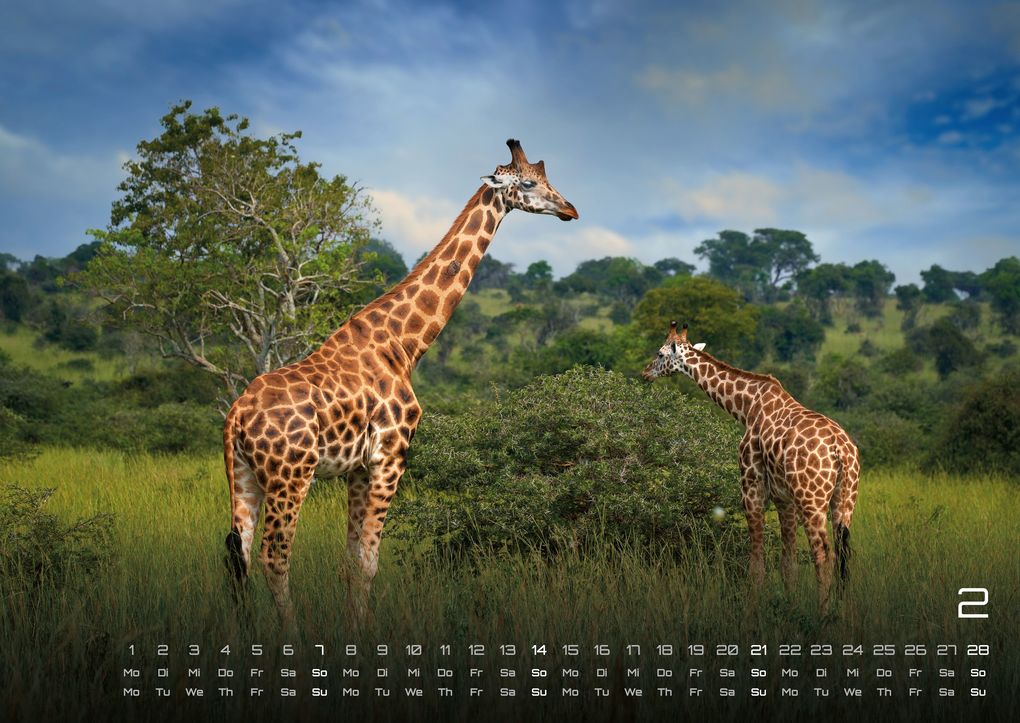 Weitere Ansicht: Afrikas Tierwelt - Der Tierkalender - 2027 - Kalender DIN A2