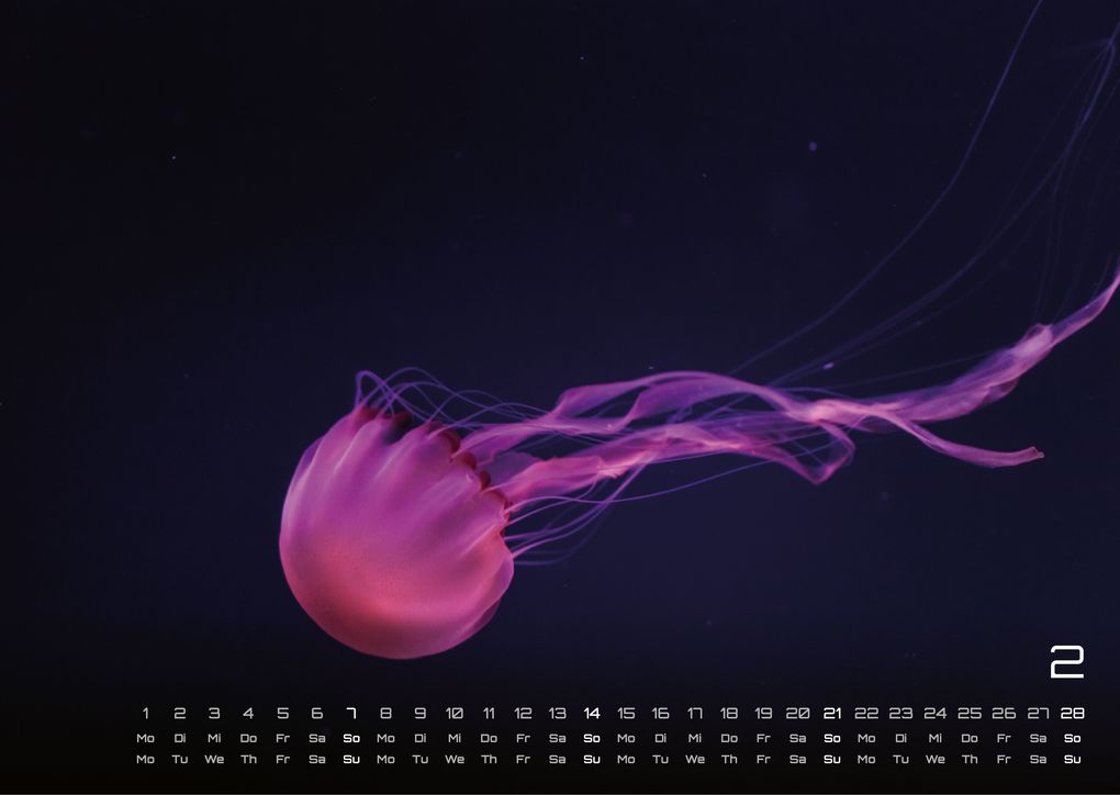 Weitere Ansicht: Sealife - verborgene Tiefen - 2027 - Kalender DIN A3