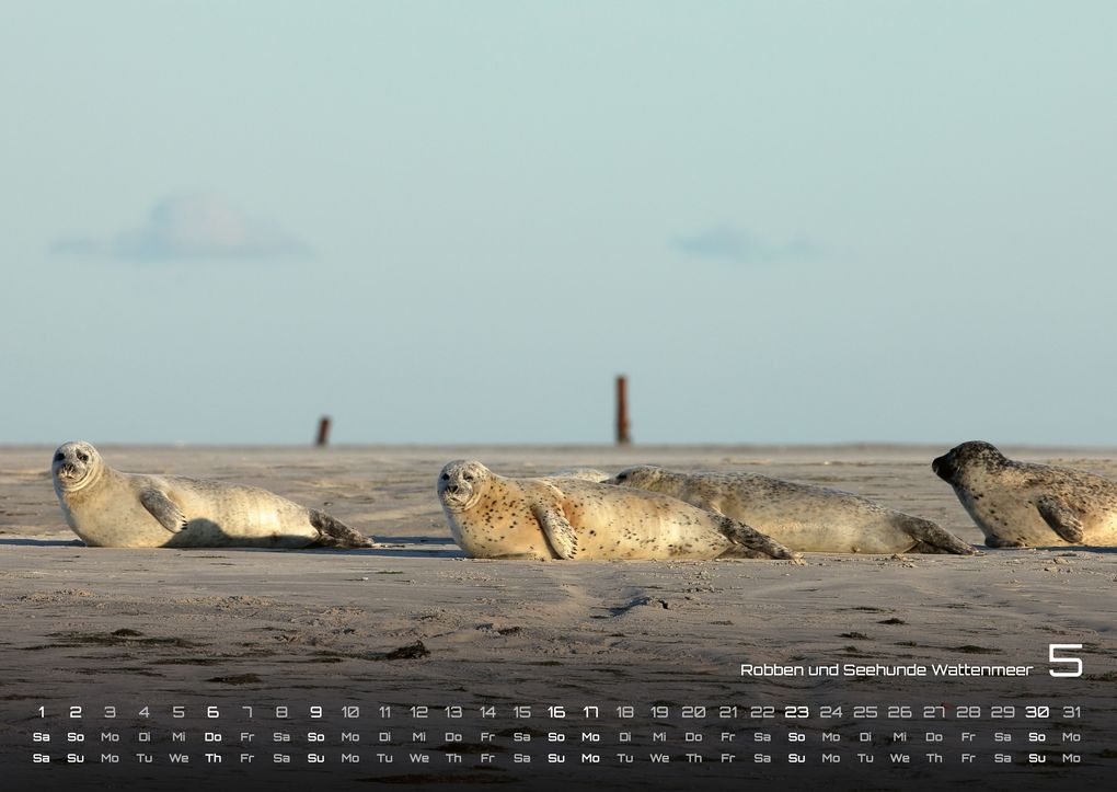 Weitere Ansicht: Nordsee - Küstenzauber - 2027 - Kalender DIN A2