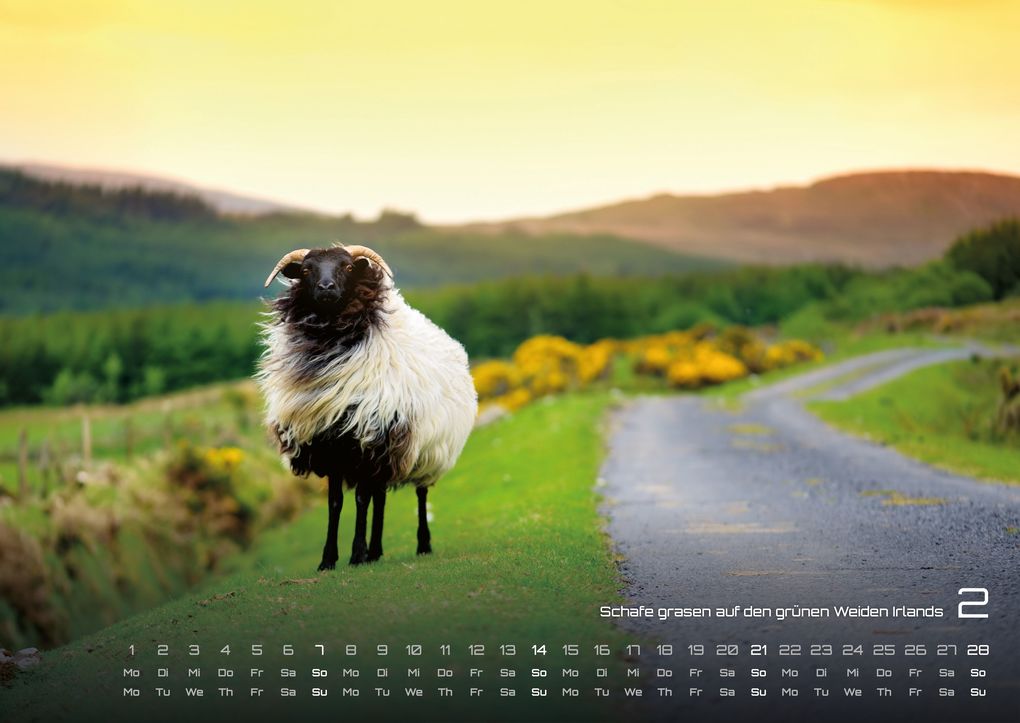 Weitere Ansicht: Irland - Die grüne Insel - 2027 - Kalender DIN A2