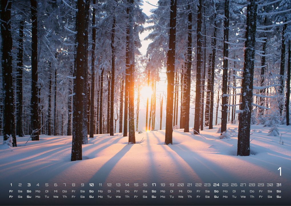 Weitere Ansicht: Moments - wundervolle Momentaufnahmen - 2027 - Kalender DIN A3