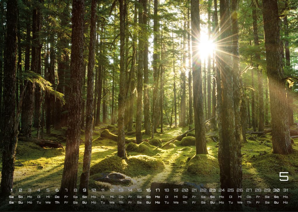 Weitere Ansicht: Moments - wundervolle Momentaufnahmen - 2027 - Kalender DIN A3
