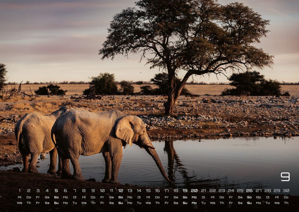 Weitere Ansicht: Elefanten - einzigartige Giganten - 2027 - Kalender DIN A2