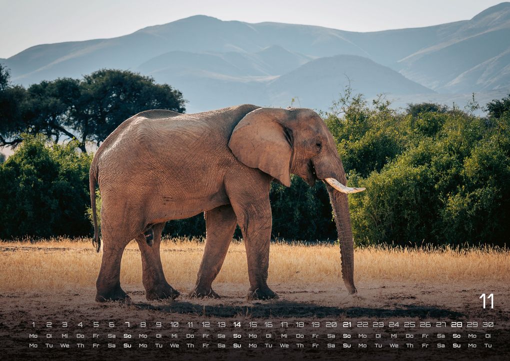 Weitere Ansicht: Elefanten - einzigartige Giganten - 2027 - Kalender DIN A2