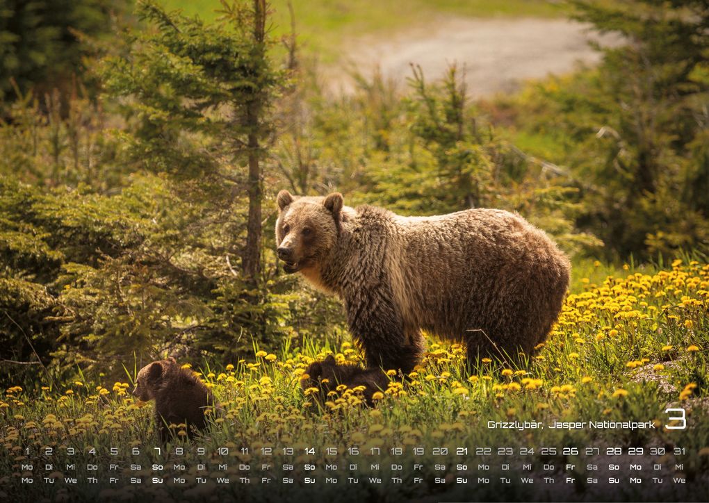 Weitere Ansicht: Kanada - Abenteuer Natur - 2027 - Kalender DIN A3