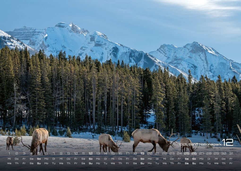 Weitere Ansicht: Kanada - Abenteuer Natur - 2027 - Kalender DIN A3