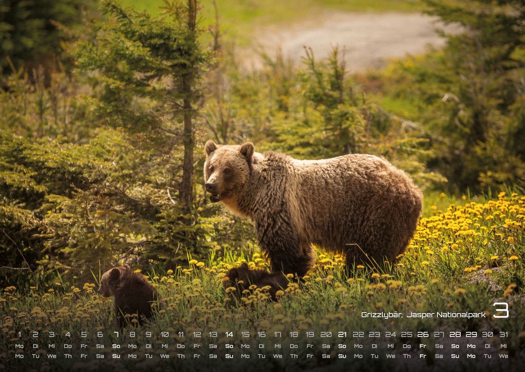 Weitere Ansicht: Kanada - Abenteuer Natur - 2027 - Kalender DIN A2