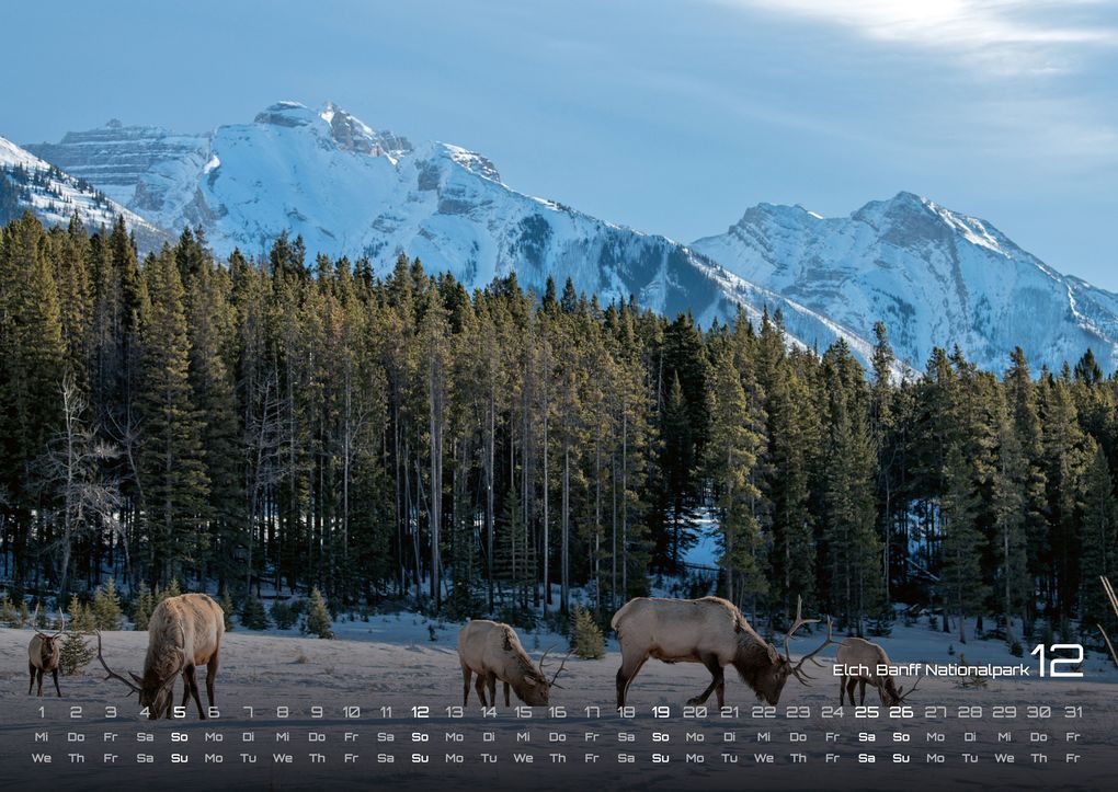 Weitere Ansicht: Kanada - Abenteuer Natur - 2027 - Kalender DIN A2
