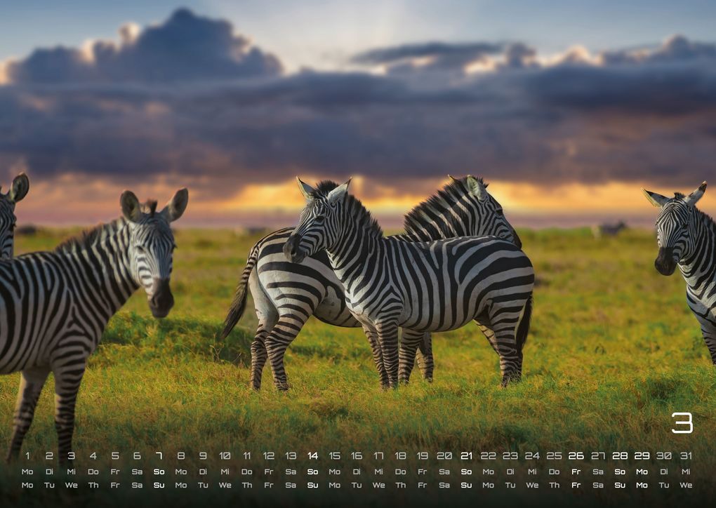 Weitere Ansicht: Afrikas Tierwelt - Der Tierkalender - 2027 - Kalender DIN A3