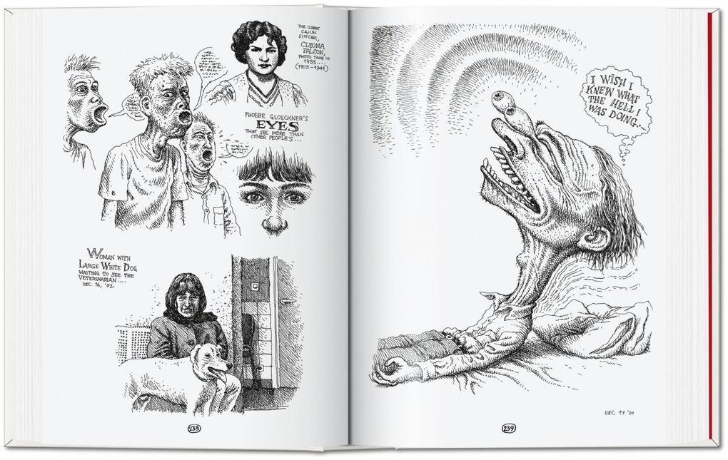 Weitere Ansicht: Robert Crumb: Sketchbook Vol. 6. 1998-2011 | Robert Crumb